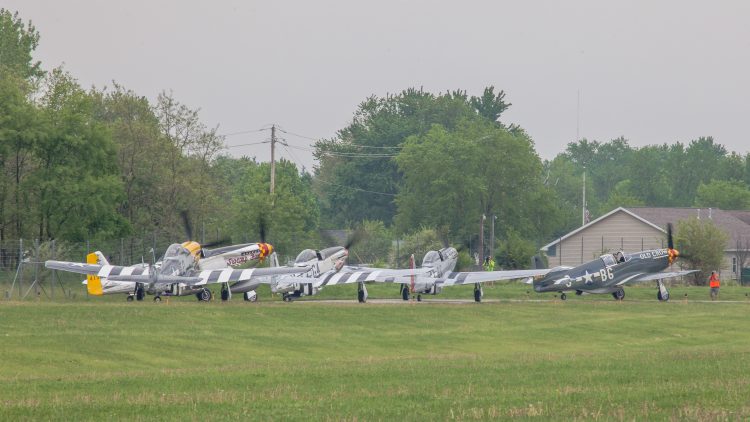P-51 Mustangs In Line