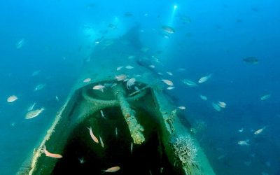 The remains of the B-17 lying on the seabed Photo: ombredalfondo.it