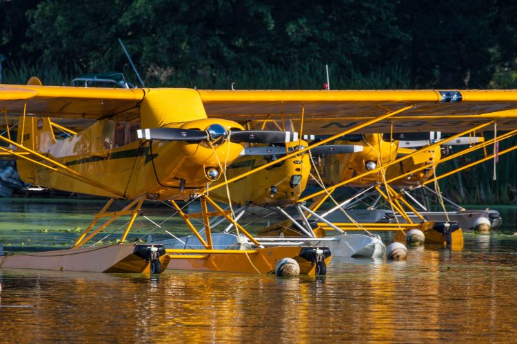 Cubs on Floats